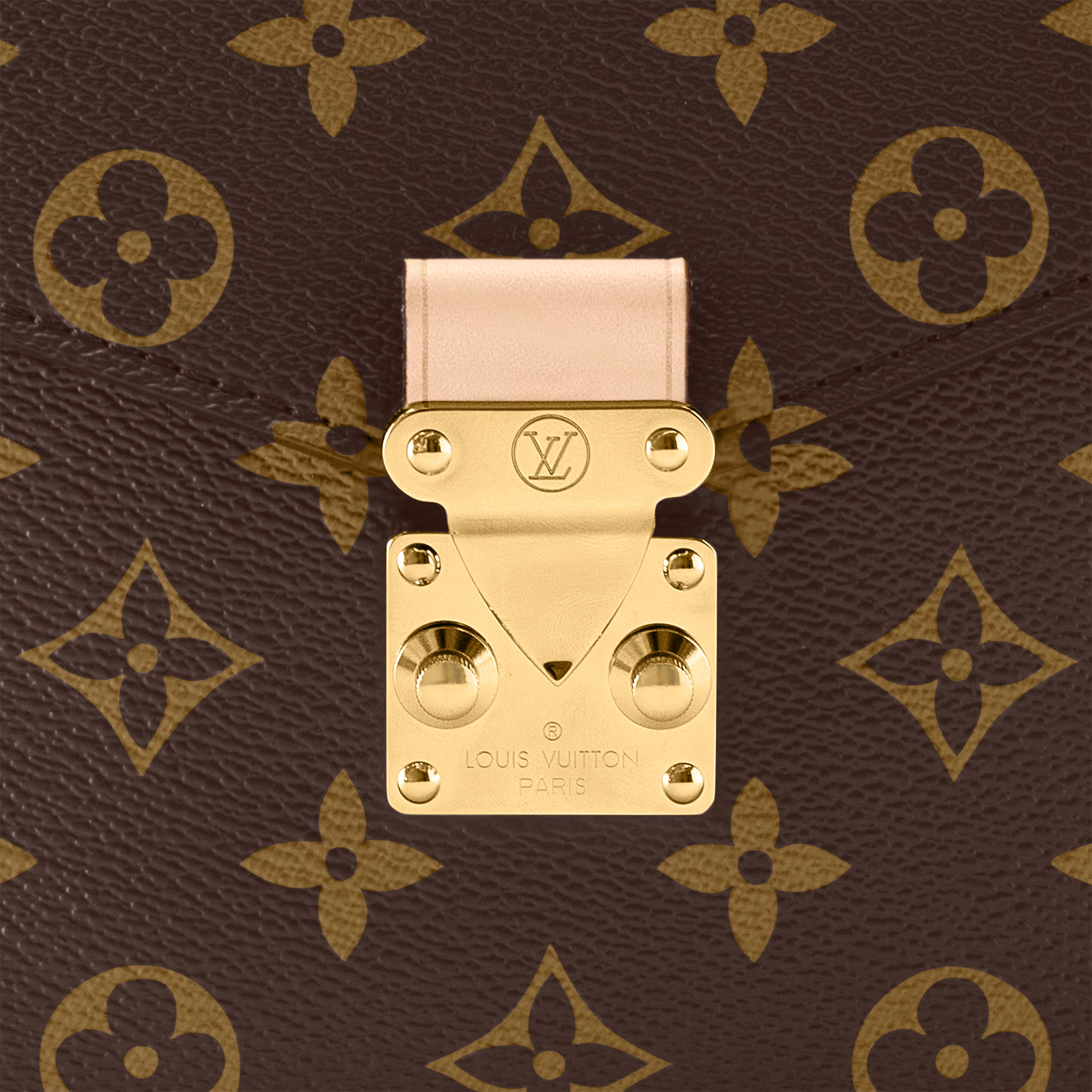 Pochette Métis M44875 - 图片 6