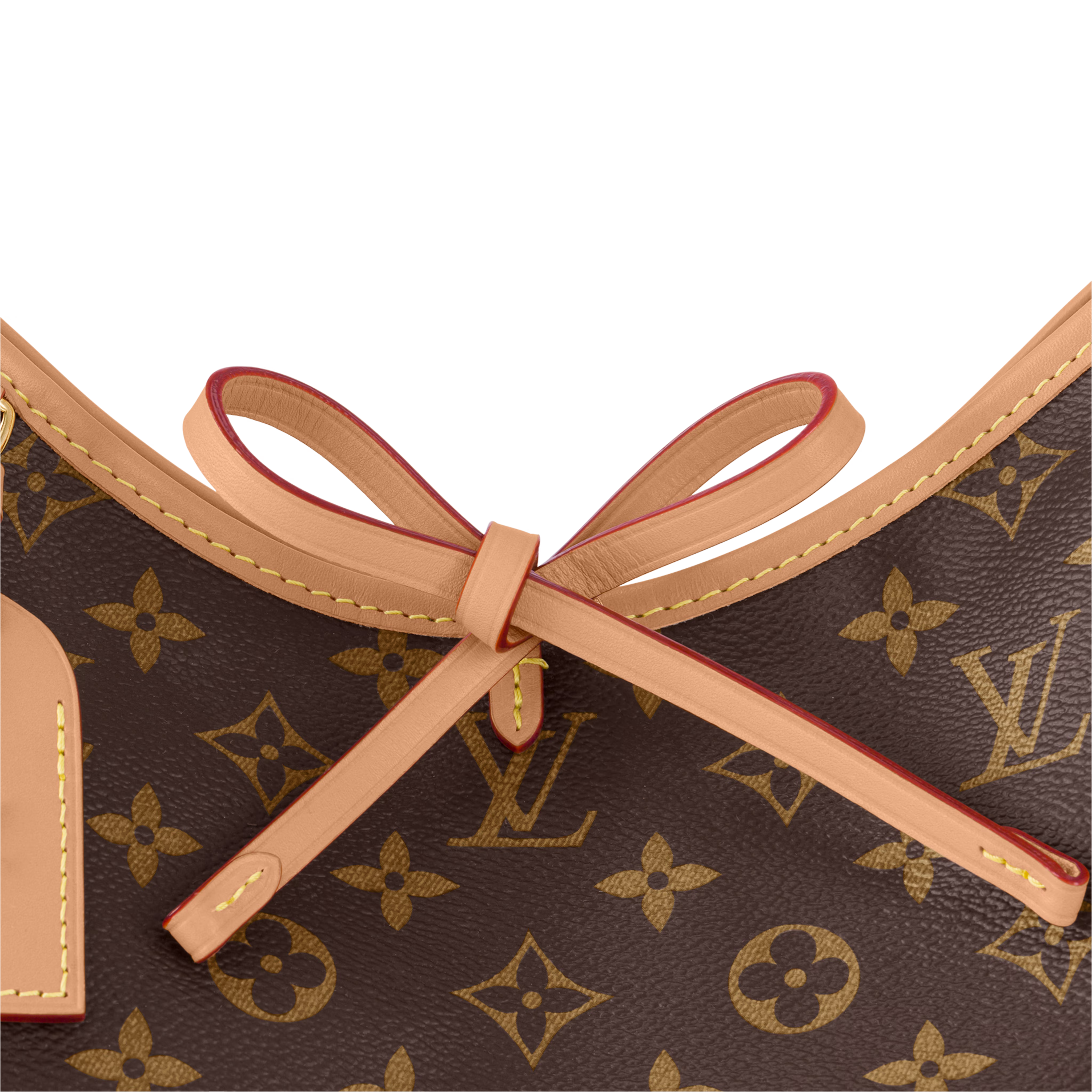 CarryAll PM M46203 - 图片 8